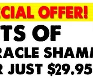 2 Large Miracle Shammys & Detailing Shammy